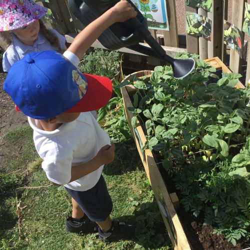 Nursery, Investigating and observing growing plants